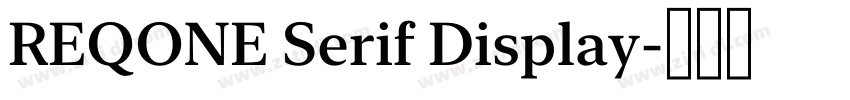 REQONE Serif Display字体转换 REQONE Serif Display字体转换